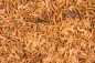 Preview: CHIX Insektenmix 180g getrocknet
